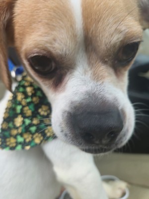 Photo of Monty