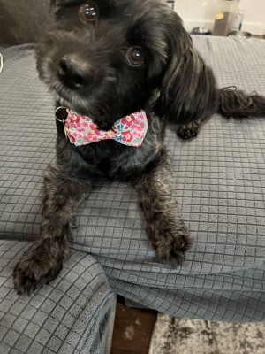 Photo of Ellie