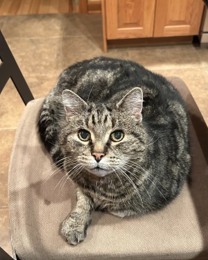 Photo of Linus