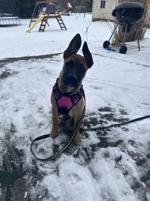Photo of Zara