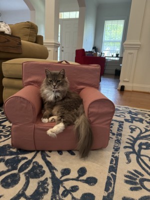 Photo of Dottie