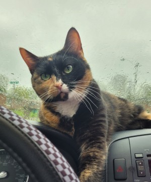 Photo of Kissy