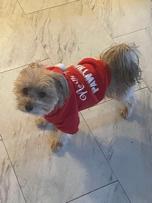 Photo of Vito
