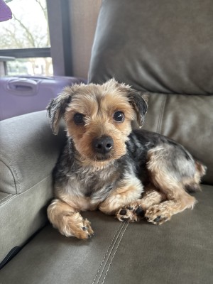 Photo of Ace