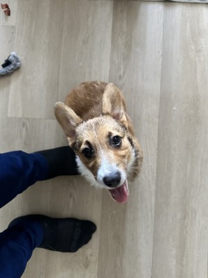 Photo of Reggie