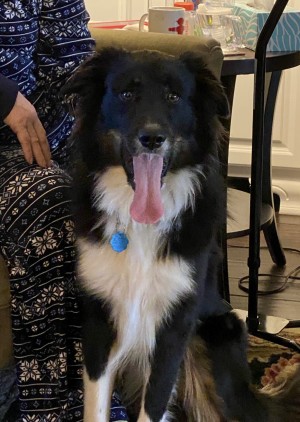 Photo of Frodo