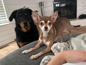 Photo of Coco