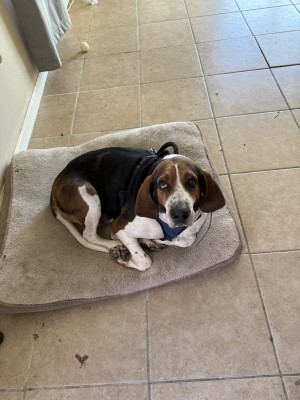 Photo of Molly