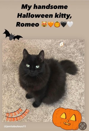 Photo of Romeo