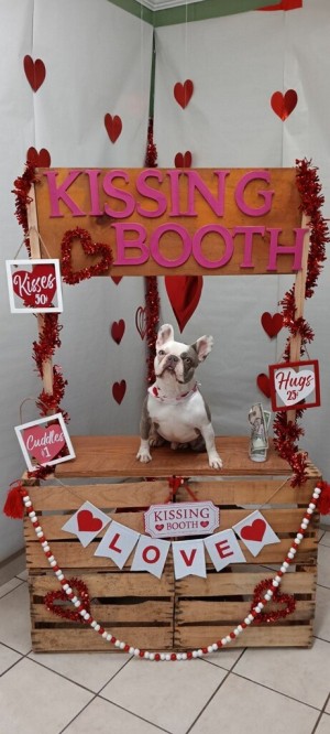 Photo of Romeo