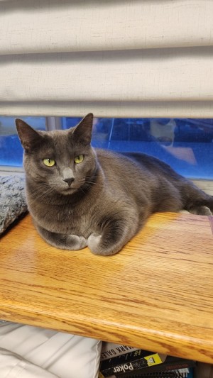Photo of Sylvie