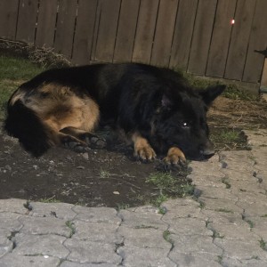 Photo of Walter