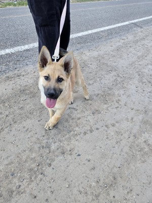 Photo of Abby