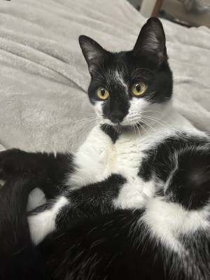 Photo of Celeste
