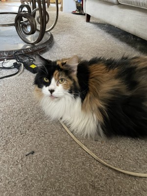 Photo of Siobhan