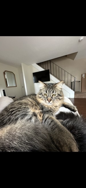 Photo of Wendy