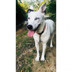 Photo of Luna