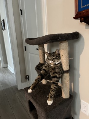 Photo of Ernest