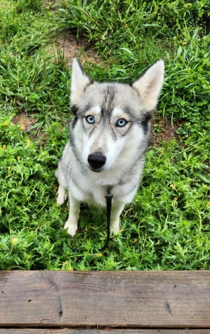 Photo of Maze