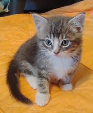 Photo of Smoke