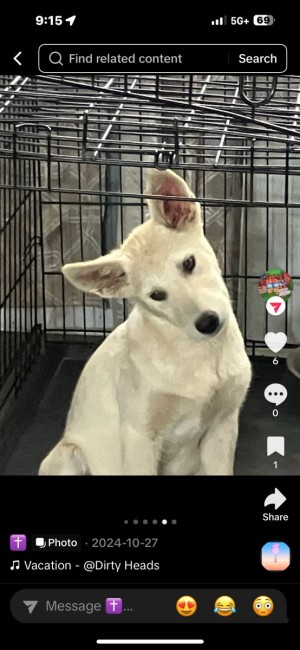 Photo of Misty