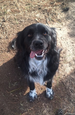Photo of Izzy