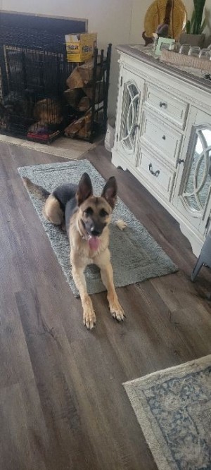Photo of Allie