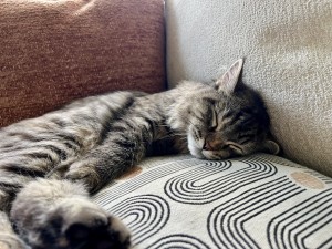 Photo of Sabina