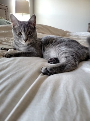 Photo of Stripe