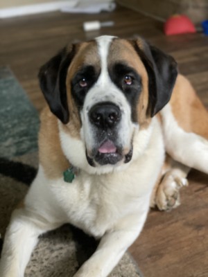 Photo of Doc