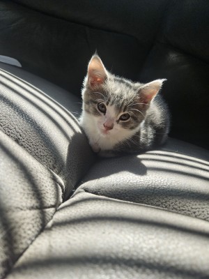 Photo of Molly