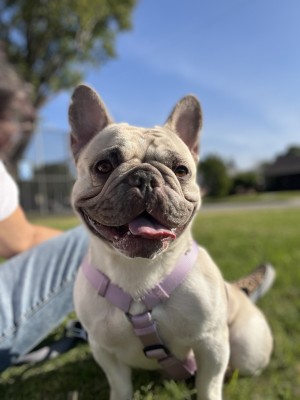 Photo of Madeleine