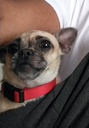 Photo of Nina