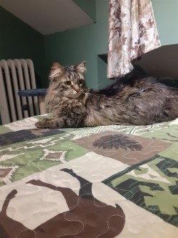 Photo of Sheila