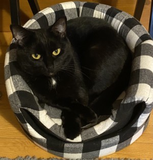 Photo of Jackie