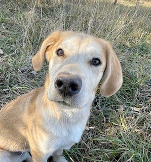 Photo of Moonpie