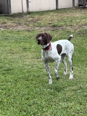 Photo of Oakley