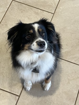 Photo of Lucy