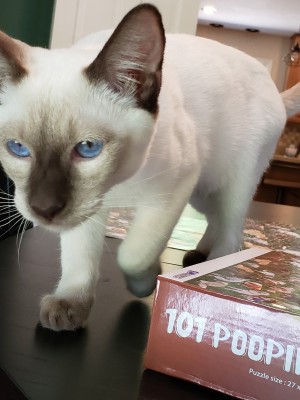 Photo of Jack