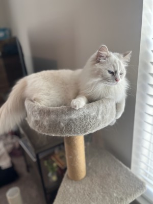 Photo of Bennie