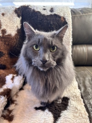Photo of Cheebee