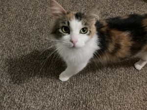 Photo of Hermione