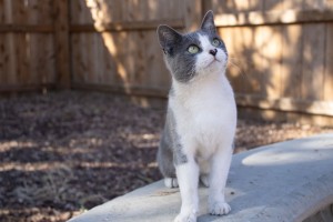 Photo of Tracy