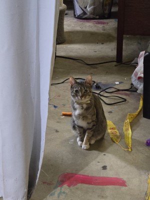 Photo of Miss Mally Mumkin