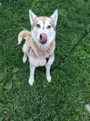 Photo of Artemis