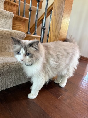 Photo of Ralph