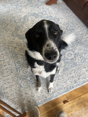 Photo of Fin