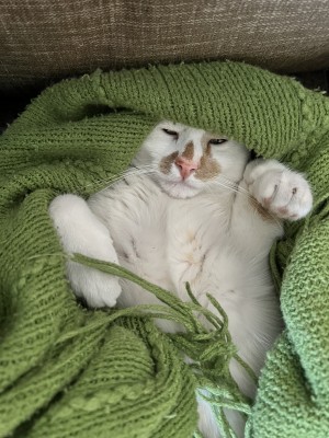 Photo of Charlie