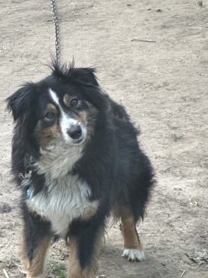 Photo of Nakita