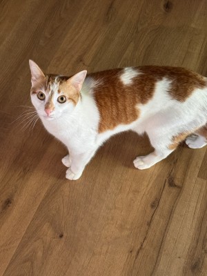 Photo of Fry